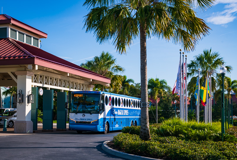 Bus Transportation Caribbean Beach Resort Hotel Disney World 619 
