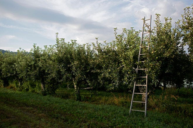 Fishkill Farms